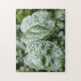 Regendruppels op donkergroene bladeren legpuzzel