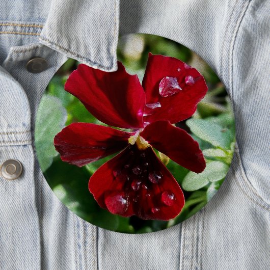 Regendruppels op driekleurig viooltje ronde button 6,0 cm (In situ)