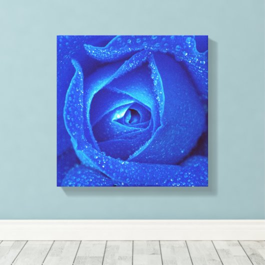 regendruppels op een blauw Roos Canvas Afdruk (Insitu (Houten vloer))