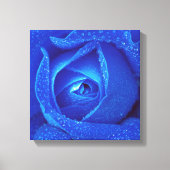 regendruppels op een blauw Roos Canvas Afdruk (Voorkant)