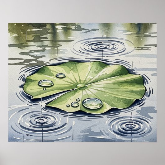 Regendruppels op een Lilypad Poster (Voorkant)