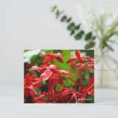 regendruppels op een rode ventilator briefkaart (Staand voorkant)