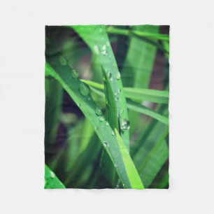 Regendruppels op gras fleece deken