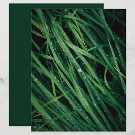 Regendruppels op gras scrapbookpapier