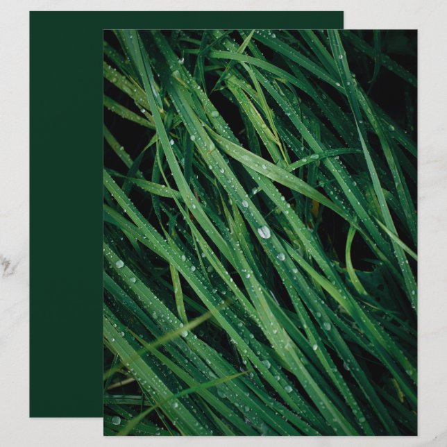 Regendruppels op gras scrapbookpapier (Voorkant / Achterkant)