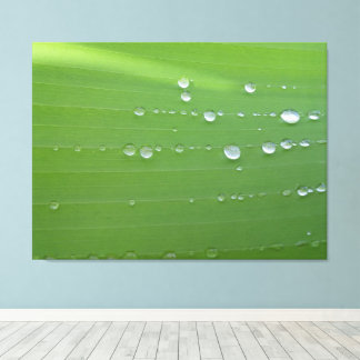 Regendruppels op groene blad fotografie canvas afdruk