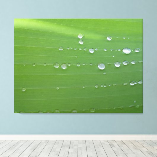 Regendruppels op groene blad fotografie canvas afdruk (Insitu (Houten vloer))