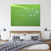 Regendruppels op groene blad fotografie canvas afdruk (Insitu (Slaapkamer))