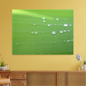 Regendruppels op groene blad fotografie canvas afdruk (Insitu (Woonkamer))