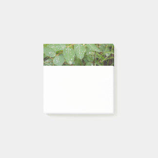 Regendruppels op groene bladeren Post-It-notities Post-it® Notes