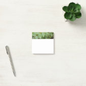 Regendruppels op groene bladeren Post-It-notities Post-it® Notes (Kantoor)