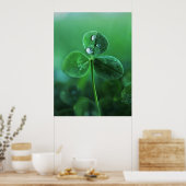 Regendruppels op groene klaverblaadjes Macro Poster (Keuken)