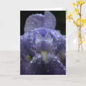 Regendruppels op Iris - Wenskaart Kaart (Gele Bloem)