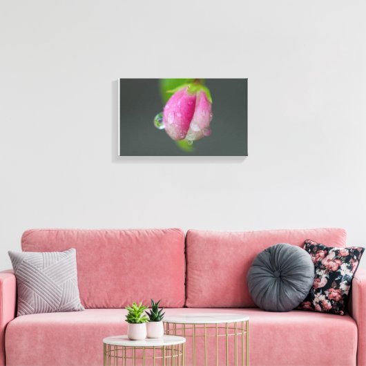 regendruppels op krabappel canvas afdruk (Insitu (Woonkamer))