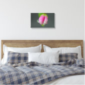regendruppels op krabappel canvas afdruk (Insitu (Slaapkamer))