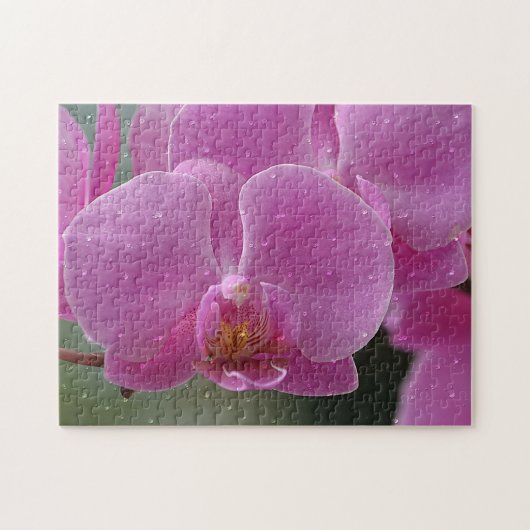 regendruppels op orchidee legpuzzel (Horizontaal)