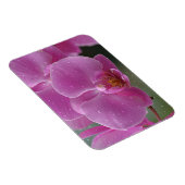 regendruppels op orchideeën magneet (Rechterzijde)
