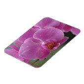 regendruppels op orchideeën magneet (Linkerzijde)