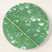 Regendruppels op Papaya Leaf Zandsteen Onderzetter (Voorkant)