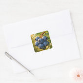 Regendruppels op rijpe bosbessen vierkante sticker (Envelop)