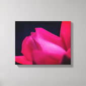 regendruppels op rode rosebud canvas afdruk (Voorkant)