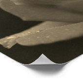 regendruppels op rosebud in sepia tint poster (Hoek)