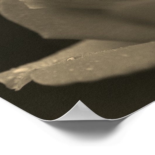 regendruppels op rosebud in sepia tint poster (Hoek)