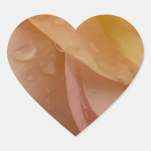 Regendruppels op Roze Bloemblaadjes Roze Perzik Bl Hart Sticker