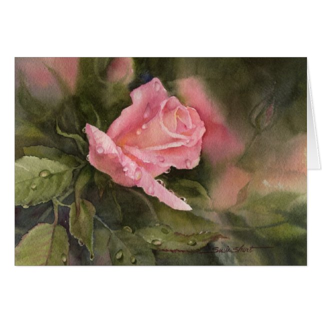 Regendruppels op Rozen (Voorkant Horizontaal)