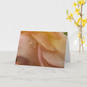 Regendruppels op Rozen bloemblaadjes Roze Perzik B Kaart (Gele Bloem)