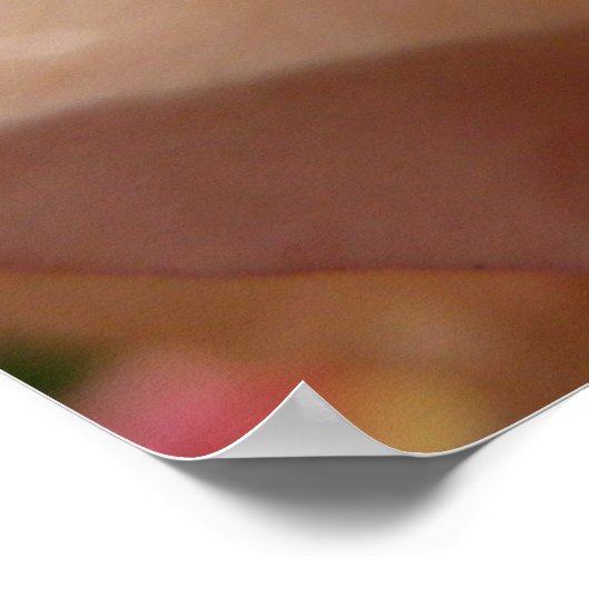 Regendruppels op Rozen bloemblaadjes Roze Perzik B Poster (Hoek)