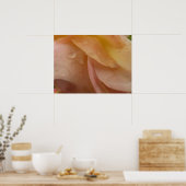 Regendruppels op Rozen bloemblaadjes Roze Perzik B Poster (Keuken)