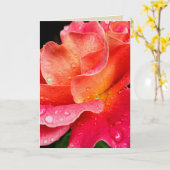 Regendruppels op Rozen bloemblaadjes Wenskaart - K Kaart (Gele Bloem)