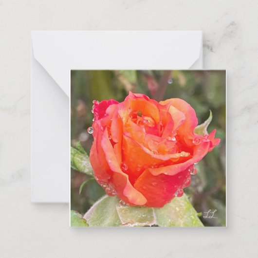 regendruppels op Rozen Notitiekaartje (Voorkant)