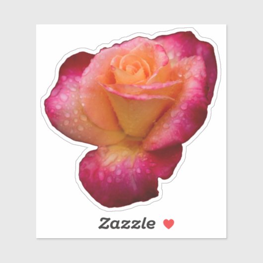 regendruppels op Rozen Sticker (Vel)