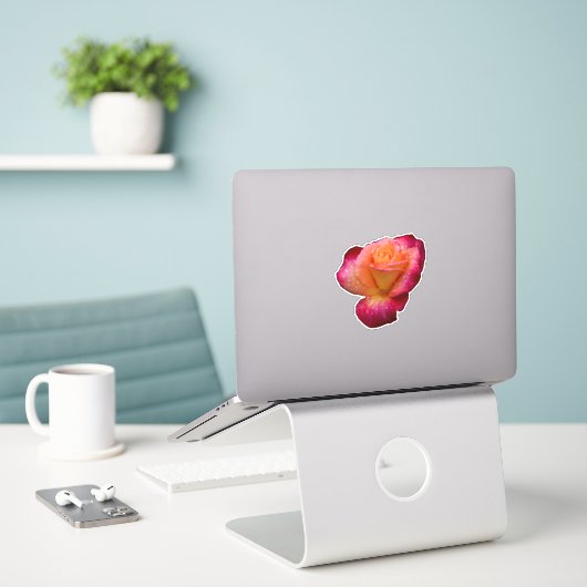 regendruppels op Rozen Sticker (Laptop op bureau)