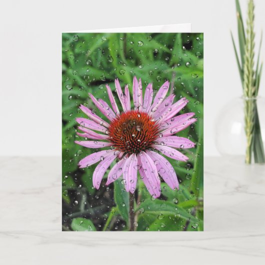 Regendruppels op Rudbeckia Kaart (Voorkant)