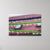 Regendruppels op snaren canvas afdruk (Voorkant)