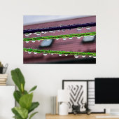 Regendruppels op snaren poster (Thuiskantoor)