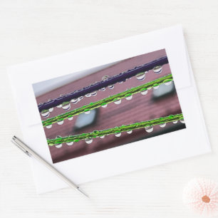 Regendruppels op snaren rechthoekige sticker