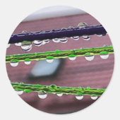 Regendruppels op snaren ronde sticker (Voorkant)