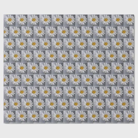 Regendruppels op witte madeliefjes cadeaupapier (Vlak)