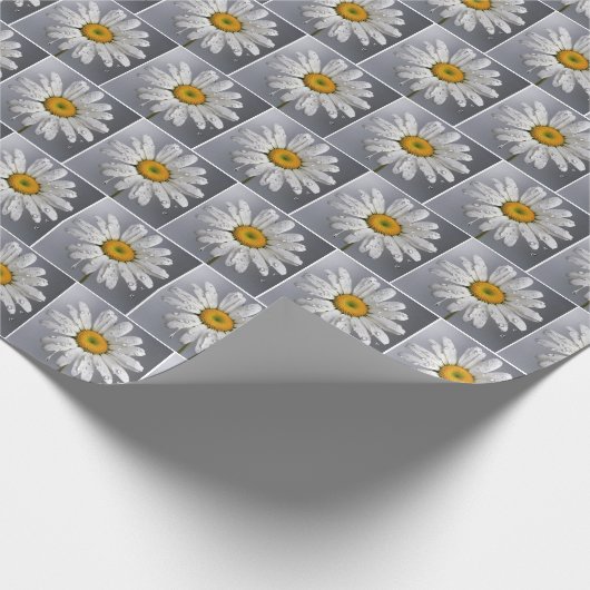 Regendruppels op witte madeliefjes cadeaupapier (Hoek)