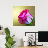 Regendruppels van de natuur kussen op Roze Roos Poster (Thuiskantoor)