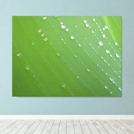 Regendruppels van het Leven op Smaragdgroen Blad F Canvas Afdruk (Insitu (Houten vloer))