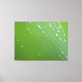 Regendruppels van het Leven op Smaragdgroen Blad F Canvas Afdruk (Voorkant)