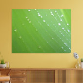 Regendruppels van het Leven op Smaragdgroen Blad F Canvas Afdruk (Insitu (Woonkamer))