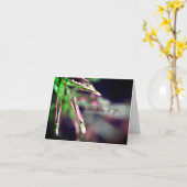 Regendruppeltjes op Leaf Denken aan je Kaart (Gele Bloem)