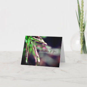 Regendruppeltjes op Leaf Denken aan je Kaart