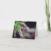 Regendruppeltjes op Leaf Denken aan je Kaart (Achterkant)